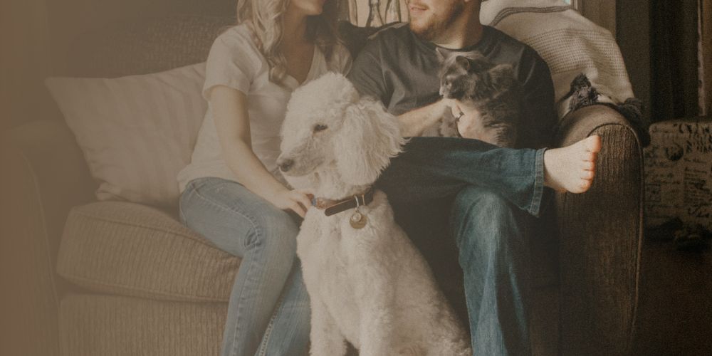 Create-Stylish-Interior-Needs-Pet-Blog-Post-ClicknBuyAustralia