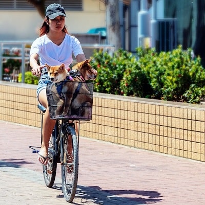 EUNORAU-Electic-Bike-Online-Australia-ClicknBuyAustralia-min